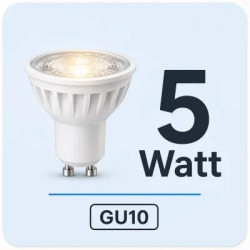 5 Watt