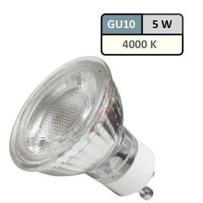 Einbaustrahler Tomas / LED Leuchtmittel 230Volt / 5Watt / 45° Schwenkbar